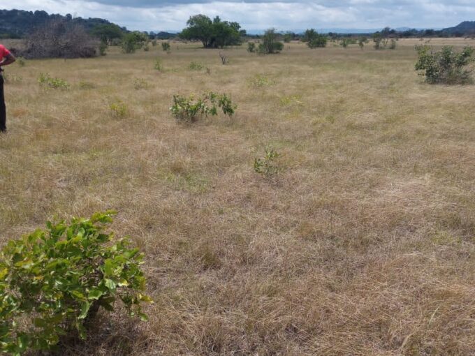 AFFORDABLE LAND at TSOPOLI, AGOTOR